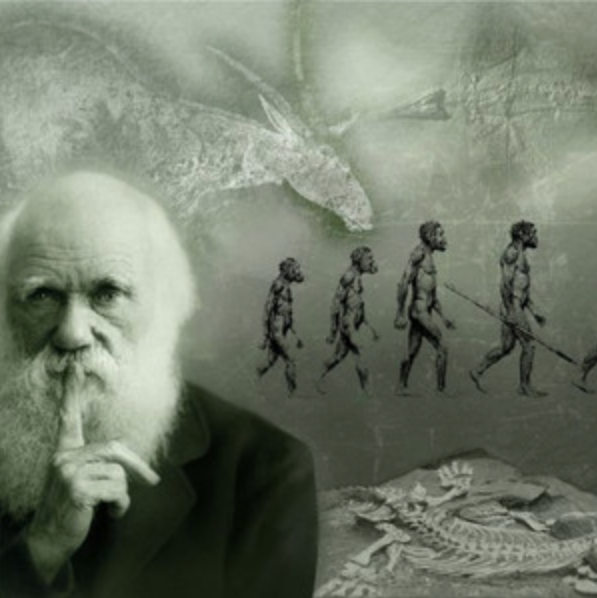 Sustainopreneurship - The Future Of Business