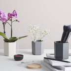 3 x Hexagonal Bamboo Desk Pots – Sustainable Planters & Organizers