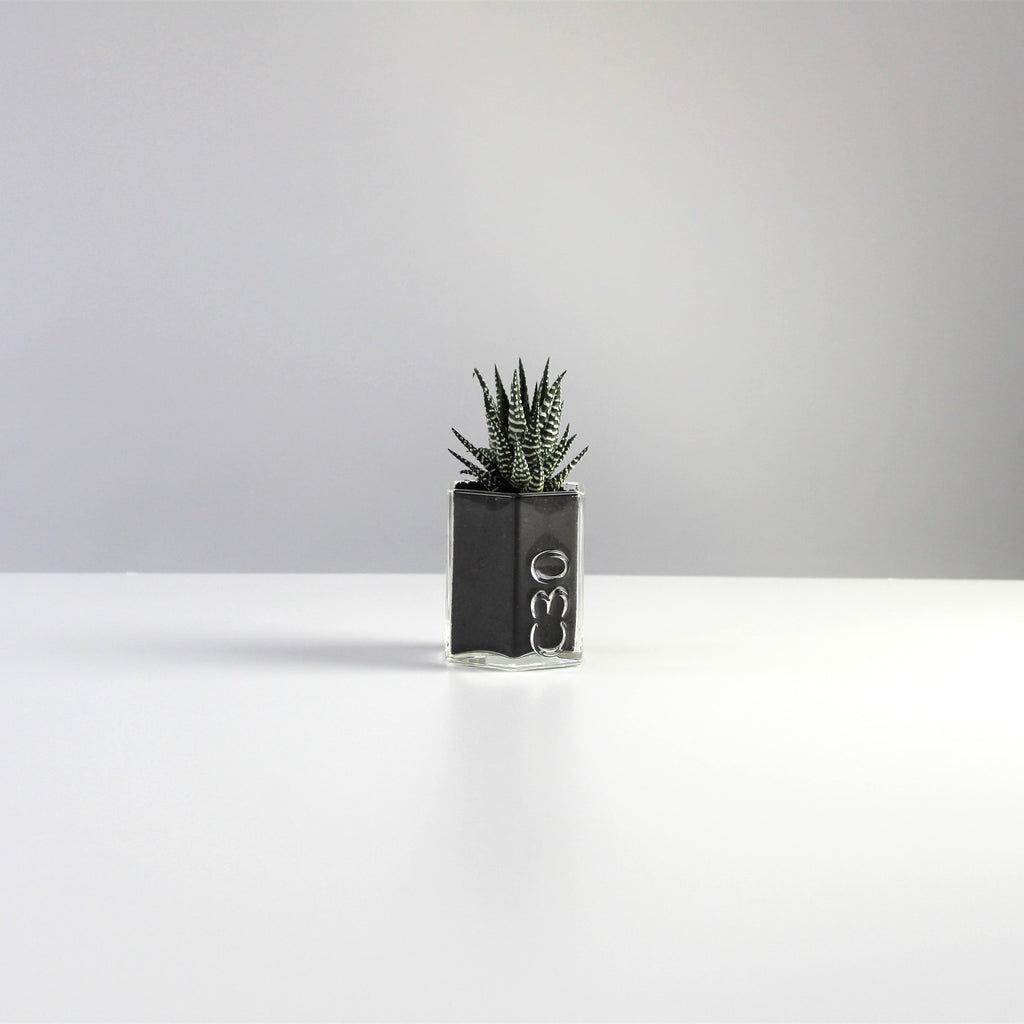 3 x Recycled Coloured Glass Hexagon Pots – Desk Organisers & Planters