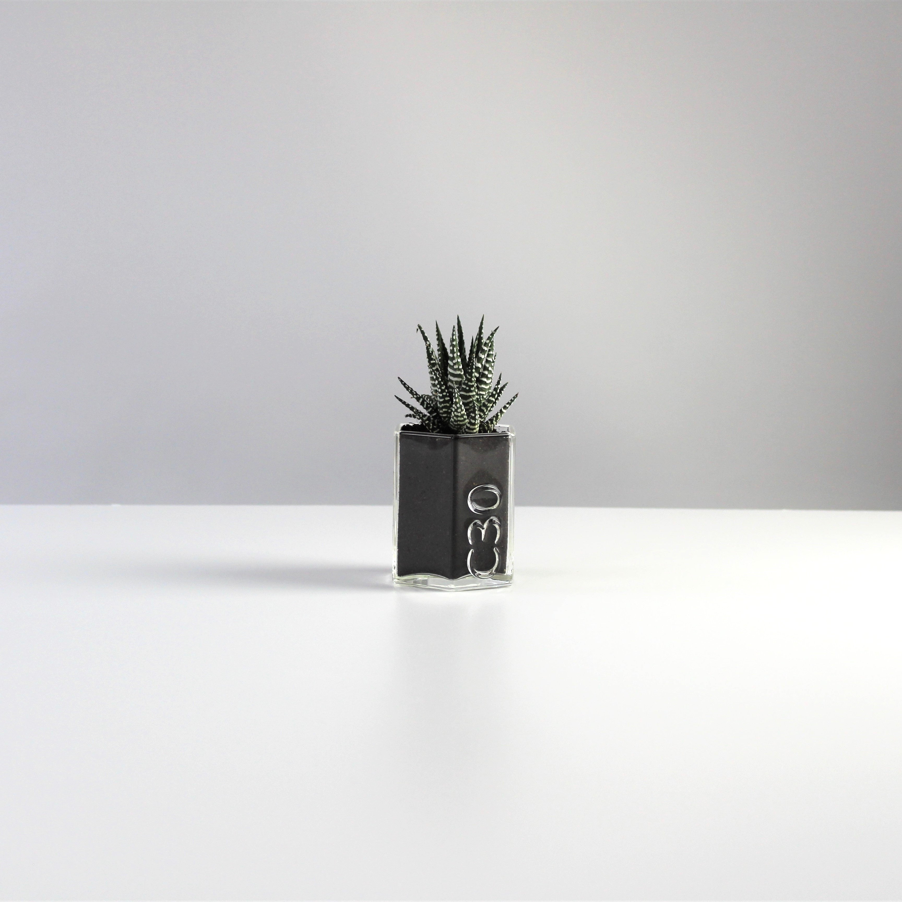 3 x Recycled Coloured Glass Hexagon Pots – Desk Organisers & Planters